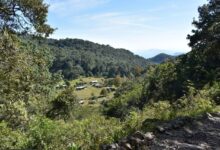 Photo of Tamaulipas en los premios “Lo Mejor de México”