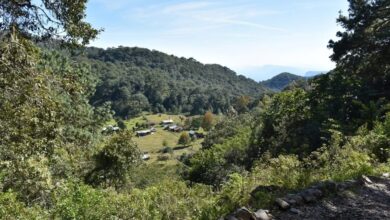 Photo of Tamaulipas en los premios “Lo Mejor de México”