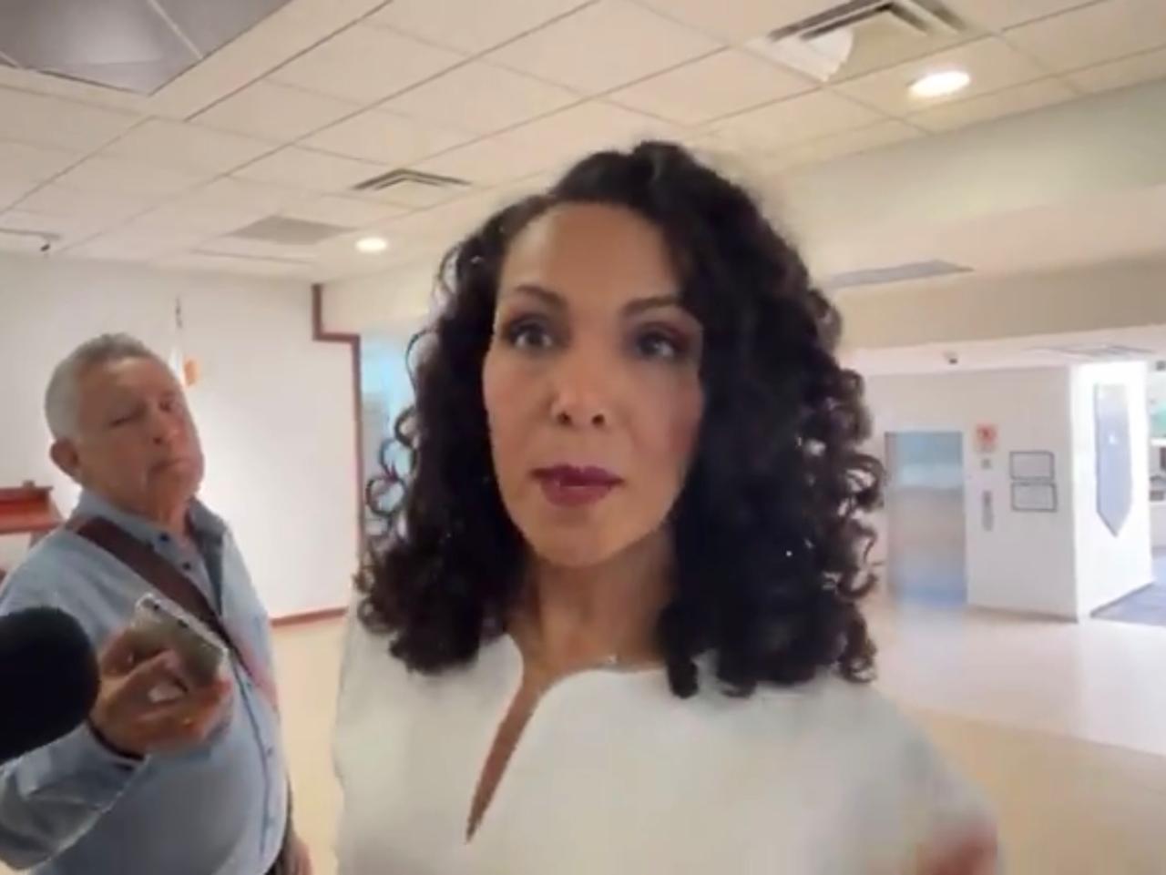 Cynthia Jaime Castillo, diputada de Morena.