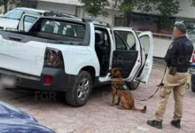 Photo of Aseguran cargamento de droga en Jaumave