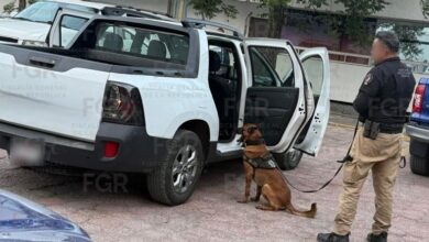 Photo of Aseguran cargamento de droga en Jaumave