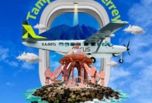 Photo of Tamaulipas despega: nuevas rutas aéreas impulsan turismo y negocios