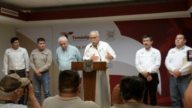 Photo of Avanza Tamaulipas en el control del gusano barrenador