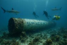 Photo of Preocupa que basura espacial de SpaceX sea radioactiva