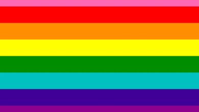 Photo of Buscan eliminar término “homosexualismo” del Código Penal