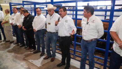 Photo of UAT impulsa modernización ganadera en Tamaulipas