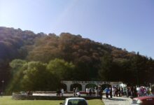 Photo of El ecocidio de Huixquilucan