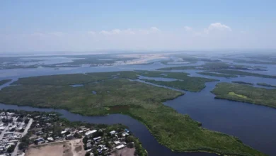 Photo of Tamaulipas libera agua al río Pánuco por falta de infraestructura para almacenarla