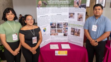 Photo of UAT: Convierten pez diablo, en alimento para ganado y gatos