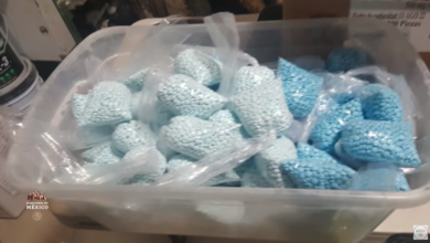 Photo of Aseguran una tonelada de fentanilo en Tamaulipas durante los últimos 18 meses