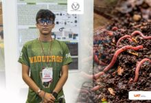 Photo of Estudiante de la UAT crea dispositivo para fertilizante orgánico