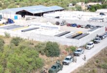 Photo of Cateos en Tamaulipas dejan 14 detenidos y aseguran 348 mil litros de aceite
