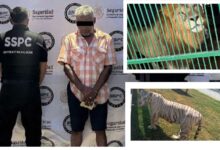 Photo of Catean cinco inmuebles en Tamaulipas; aseguran 68 mil litros de diésel y 135 animales