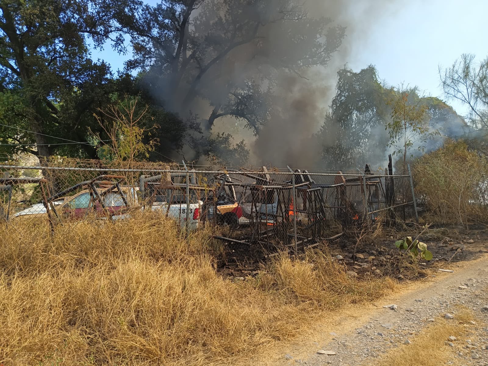 El fuego comenzó en un área de pastizal y se extendió hasta un corralón donde permanecían unidades fuera de servicio; no hubo personas lesionadas.