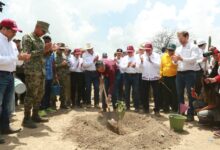 Photo of Reforestan 20 hectáreas en Jaumave