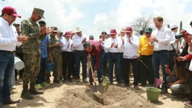 Photo of Reforestan 20 hectáreas en Jaumave
