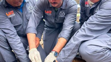 Photo of UAT activa plan contra gusano barrenador con brigadas y monitoreo en Tamaulipas