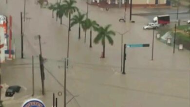 Photo of Reporta Tamaulipas saldo blanco tras lluvias intensas en la zona sur