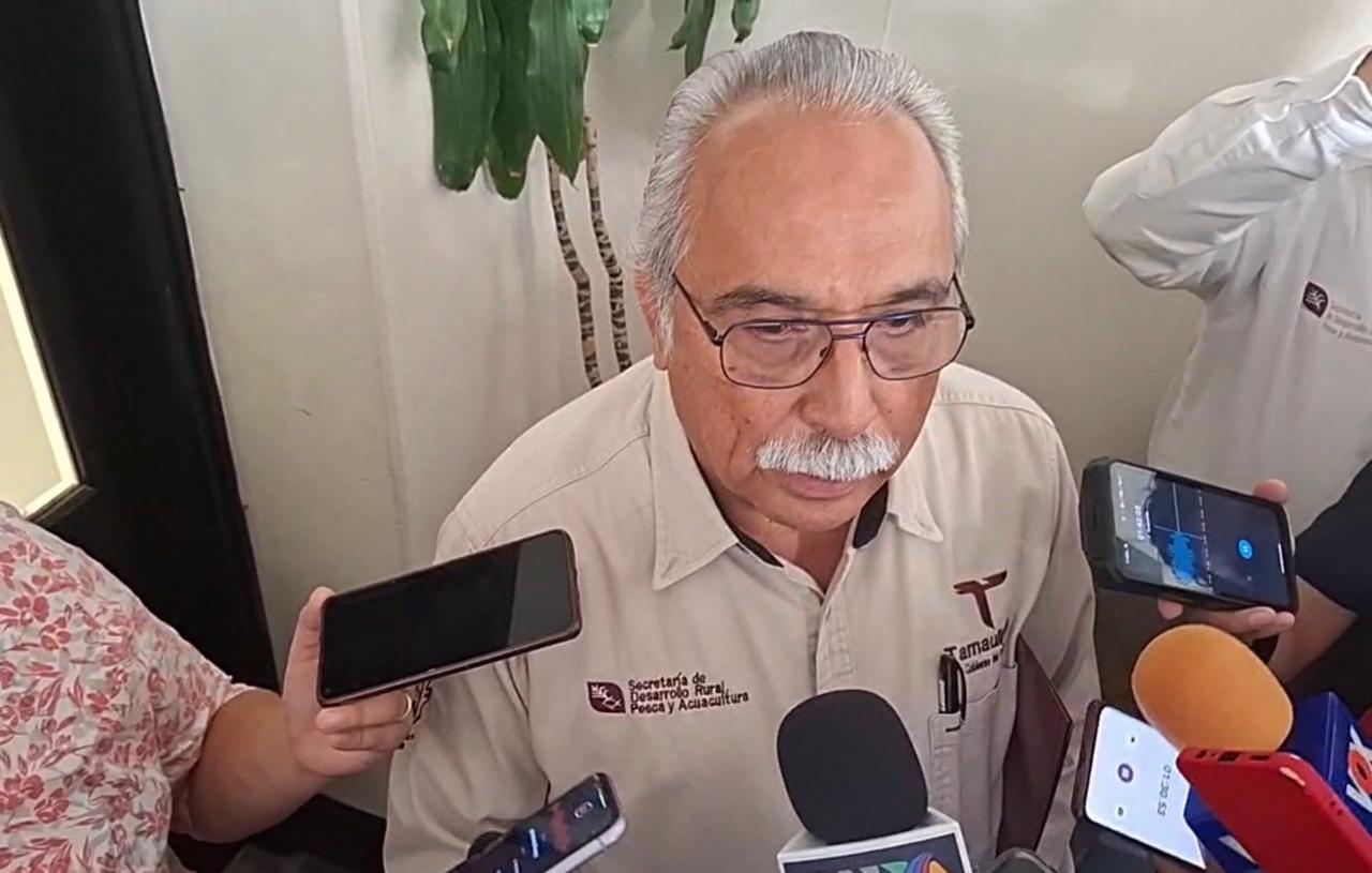 Antonio Varela Flores, secretario de Desarrollo Rural, informó sobre el aumento de casos activos de gusano barrenador y las gestiones para reactivar la exportación de ganado.
