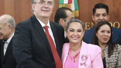 Photo of Olga Sosa respalda estrategia económica de Claudia Sheinbaum