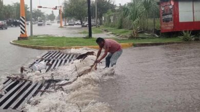Photo of Lluvias dejan saldo blanco en Victoria