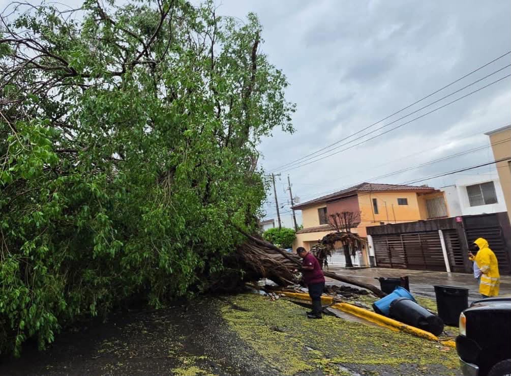 Cuadrillas municipales y cuerpos de emergencia atendieron reportes por las lluvias en Ciudad Victoria y reforzaron la limpieza de drenes pluviales.