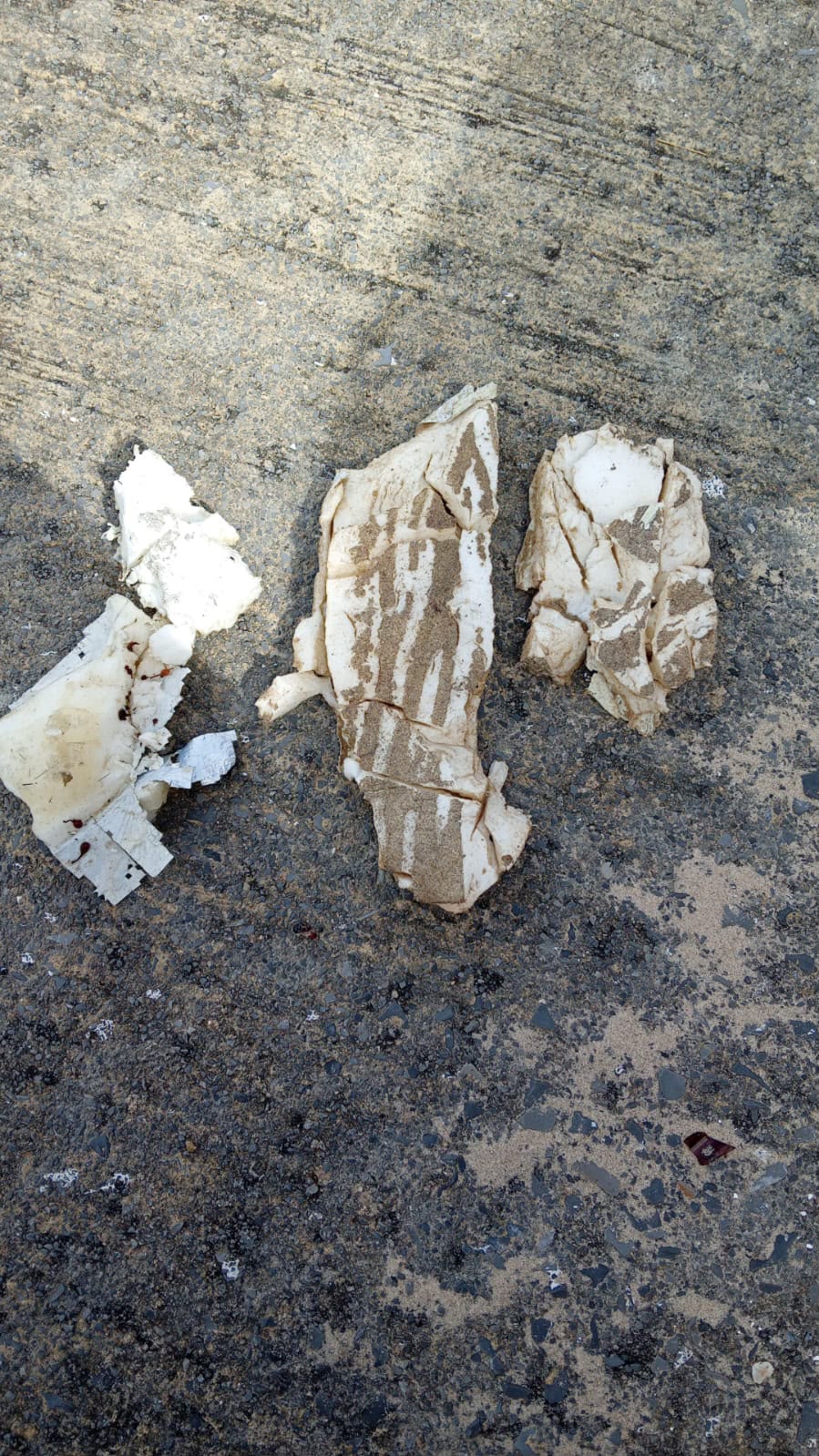 Conibio Global recolectó más de 200 fragmentos en Playa Bagdad y pide investigar posibles daños ambientales y afectaciones a comunidades pesqueras.